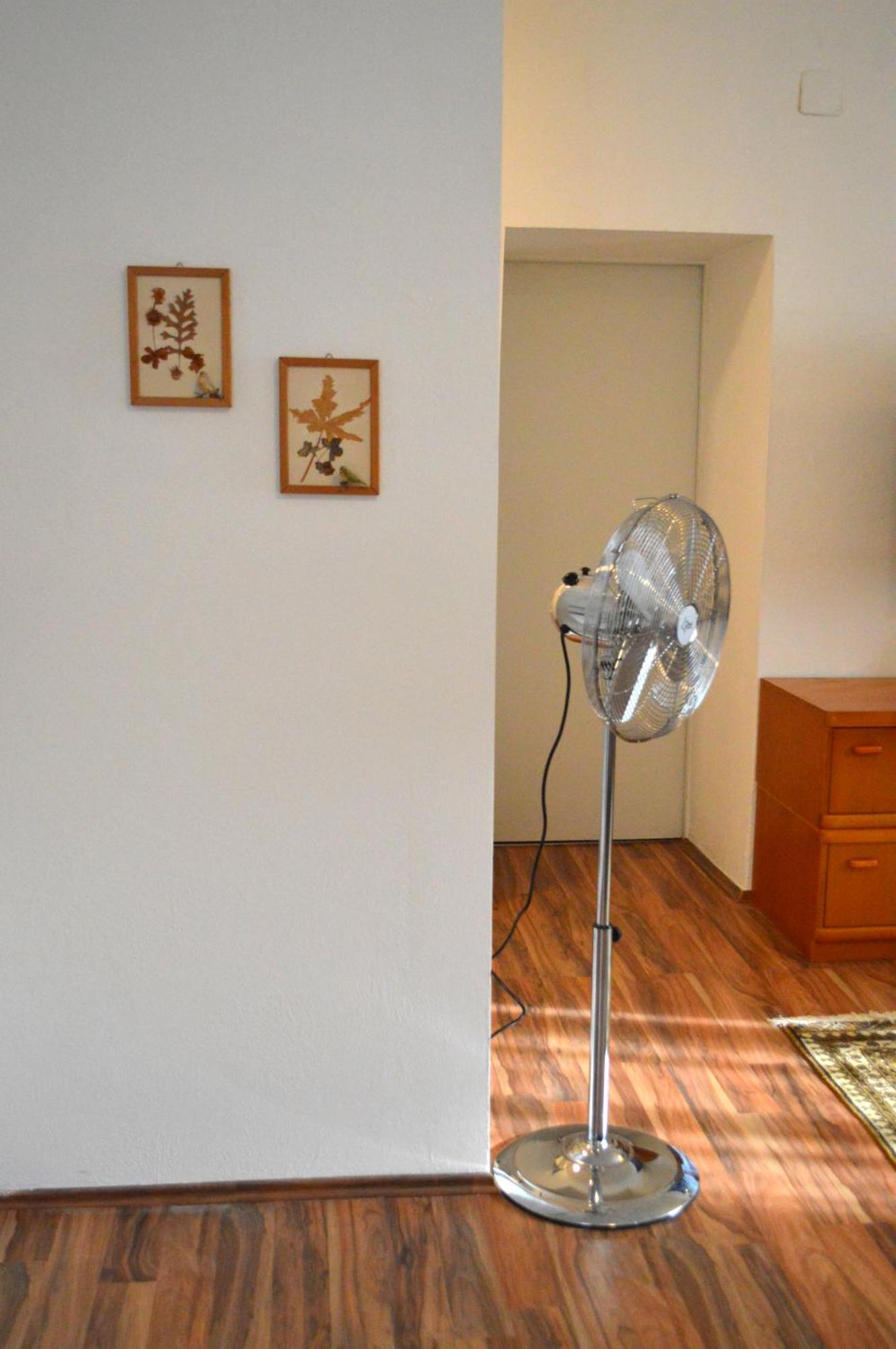 Gemuetliche Ferienwohnung - Prein An Der Rax Zewnętrze zdjęcie